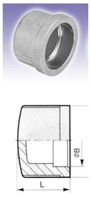 ca3
